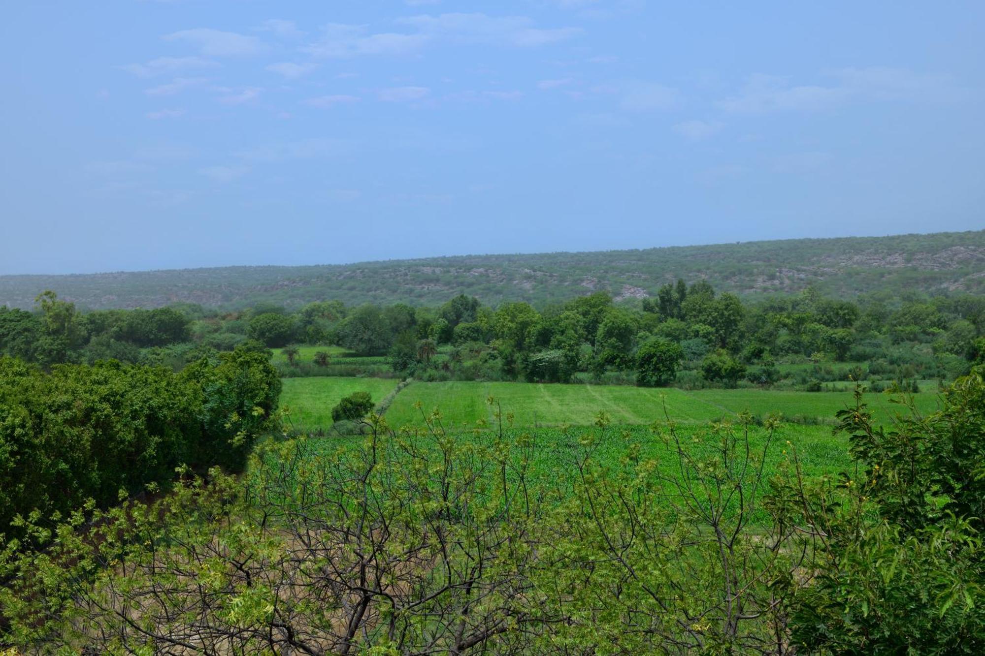 Courtyard By Marriott Aravali 5* Faridabad