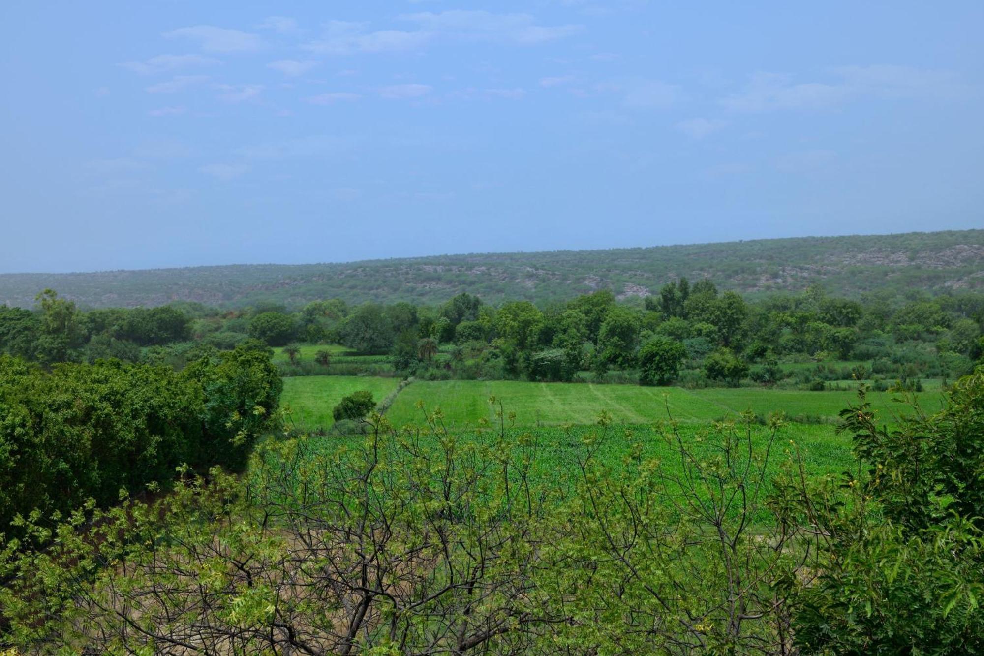 Courtyard By Marriott Aravali 5* Faridabad